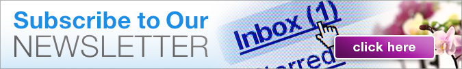 Just Add Ice Newsletter 