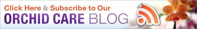 Just Add Ice Blog