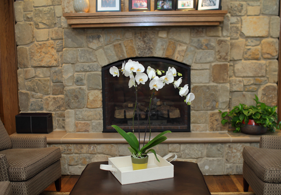 Tall-White-Orchid-on-Ottoman-in-front-of-Fireplace