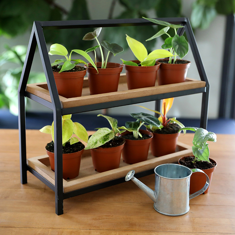Curated Greenhouse